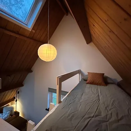 Detached In The Middle Of The Forest Holiday home