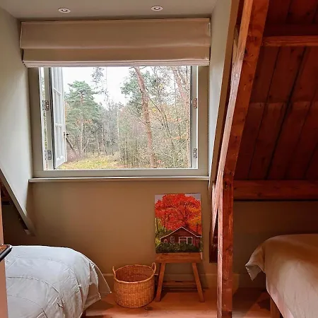 Detached In The Middle Of The Forest