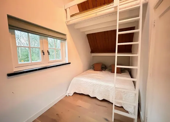 Detached In The Middle Of The Forest * Lunteren