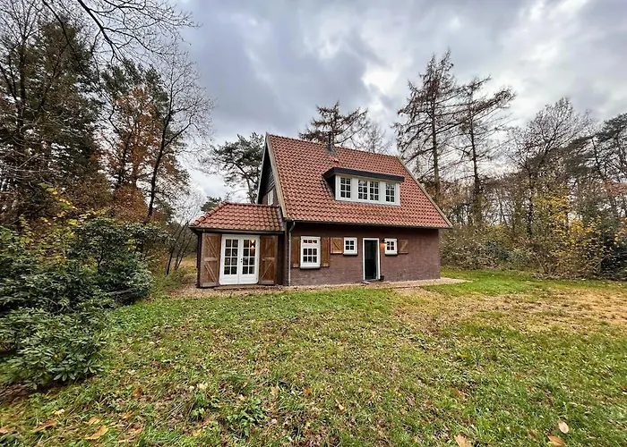 Detached In The Middle Of The Forest