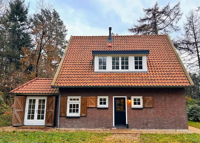 Detached In The Middle Of The Forest * Lunteren