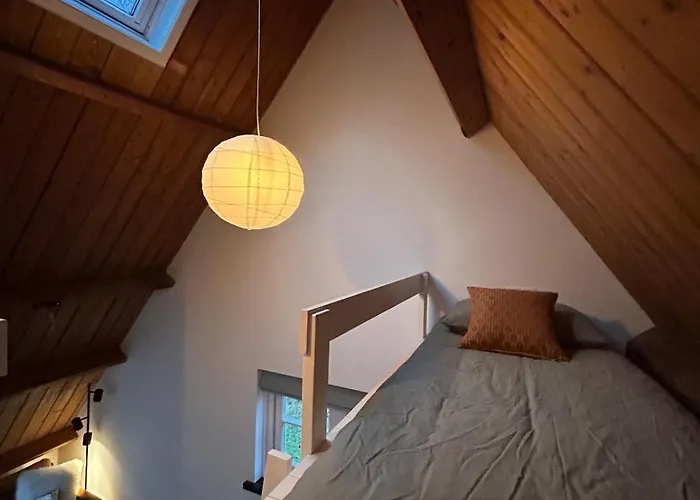 Detached In The Middle Of The Forest Semesterbostad