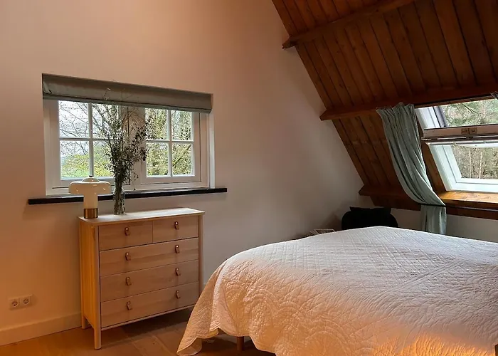 Detached In The Middle Of The Forest Semesterbostad Lunteren