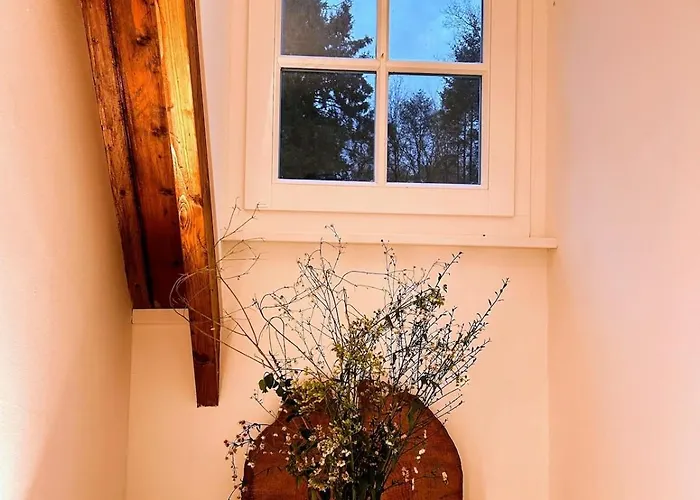 Detached In The Middle Of The Forest