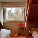 Detached In The Middle Of The Forest