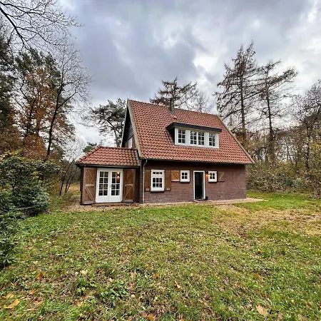 Detached In The Middle Of The Forest