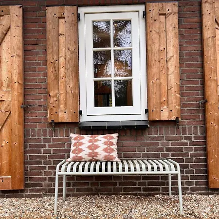 Detached In The Middle Of The Forest