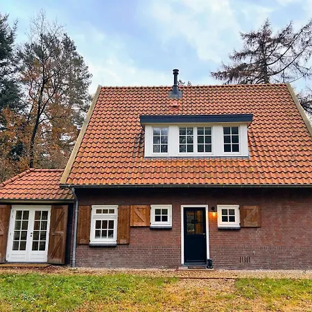 Detached In The Middle Of The Forest * Люнтерен