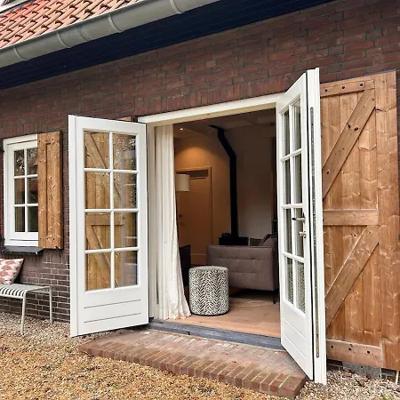 Detached In The Middle Of The Forest Люнтерен