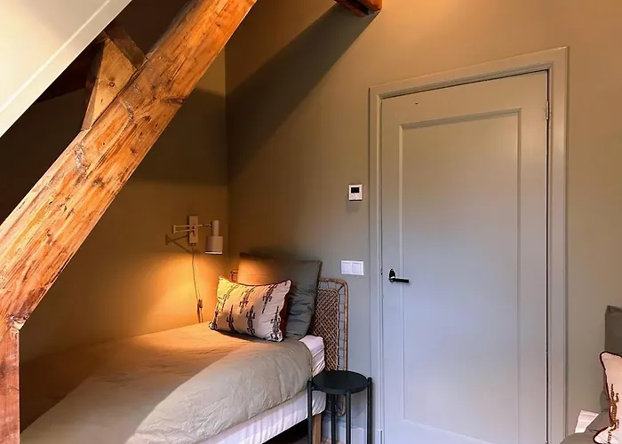 Detached In The Middle Of The Forest *