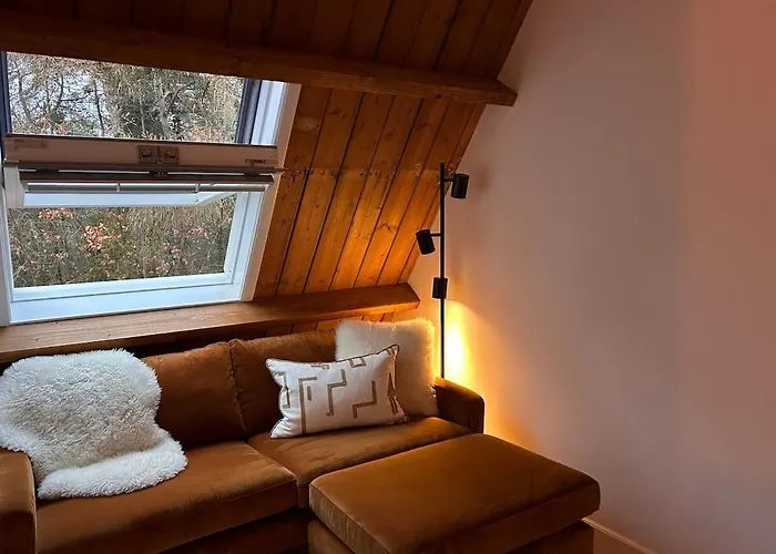 Detached In The Middle Of The Forest