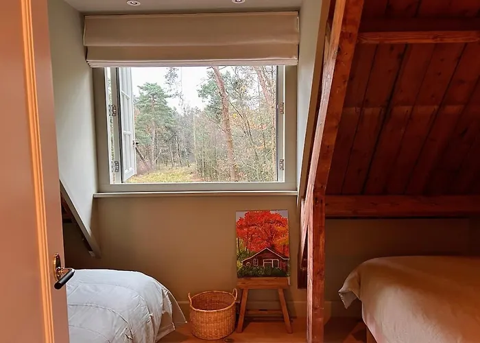 Detached In The Middle Of The Forest